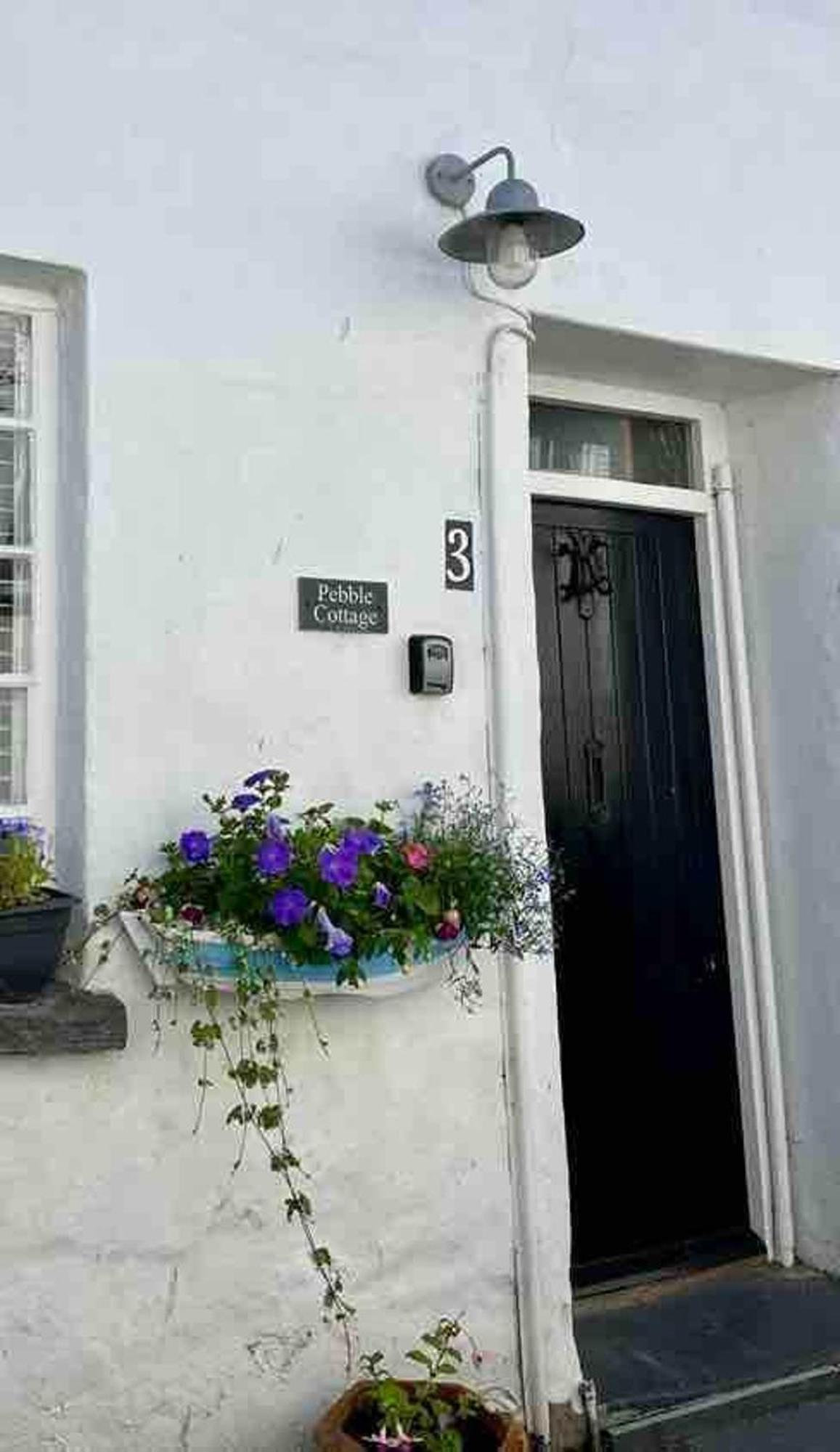 Pebble Cottage Aberdyfi Bagian luar foto